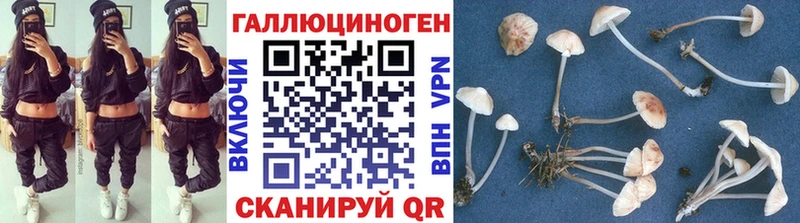 магазин    Уварово  Галлюциногенные грибы GOLDEN TEACHER 