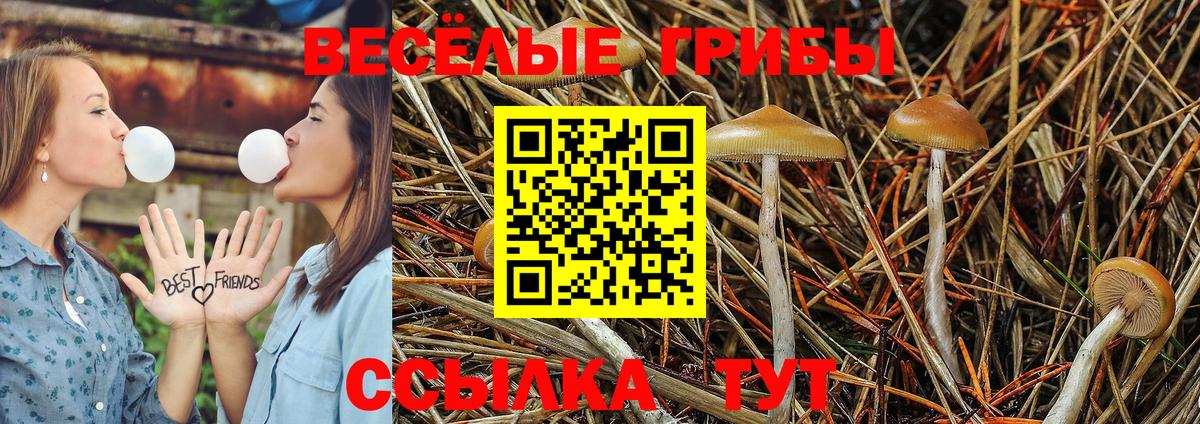 Галлюциногенные грибы GOLDEN TEACHER Уварово