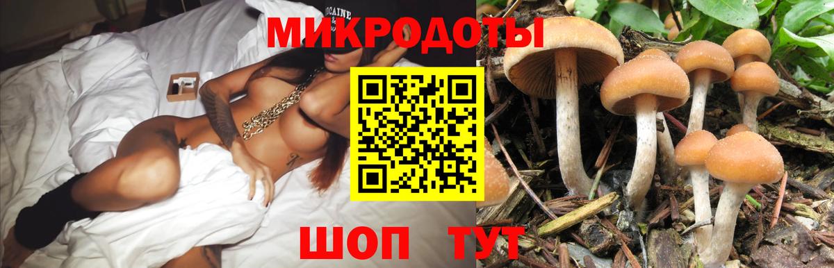 Галлюциногенные грибы Psilocybe  Вход с VPN  Уварово  Галлюциногенные грибы прущие грибы 